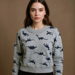 Pull Dinosaure Enfant Col Rond