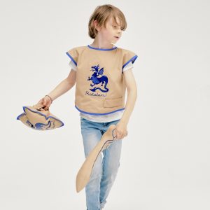 Kit chevalier bleu