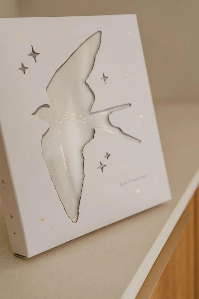 Kit de cartes étapes - Bird – Image 9