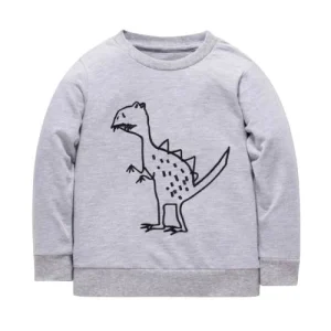 Sweat Dinosaure  2 - 7 ans