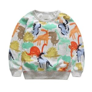 Sweat Dinosaure  Pull couleur