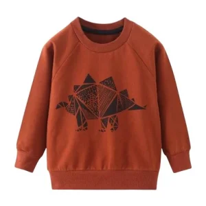 Sweat Dinosaure  Pull enfants motif dinosaures 6-7 ans