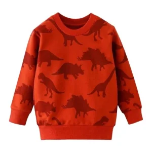 Sweat Dinosaure  Pull joli motif