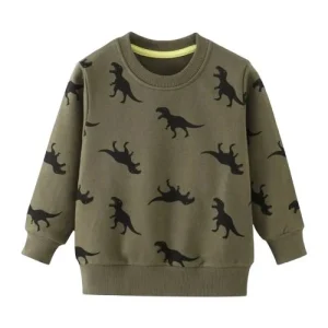 Sweat Dinosaure Pull t rex